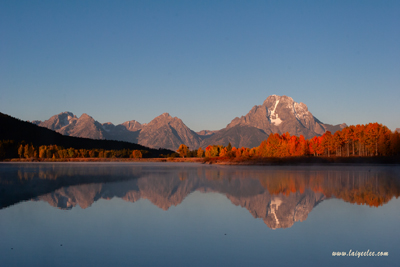 Mt Moran Morning