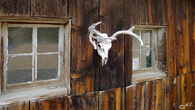 Shop Wall at the Chase Ranch