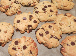 Gluten Free Chocolate Chip Walnut Cookies