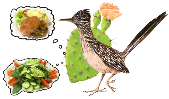 RoadRunner dreaming of the burger and salad